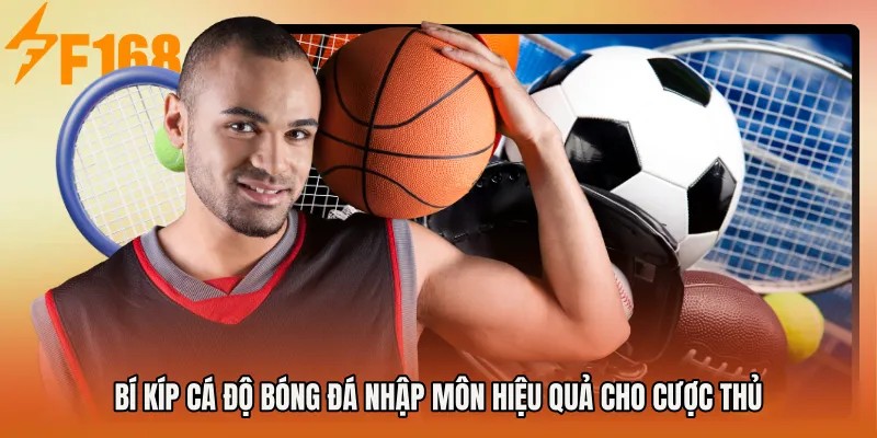 Bí kíp cá độ bóng đá nhập môn hiệu quả cho cược thủ Bí kíp cá độ bóng đá nhập môn hiệu quả cho cược thủ